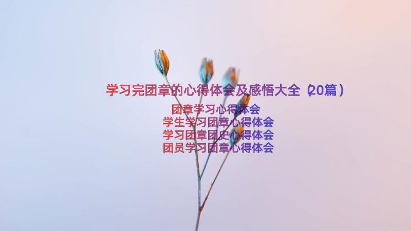 学习完团章的心得体会及感悟大全（20篇）