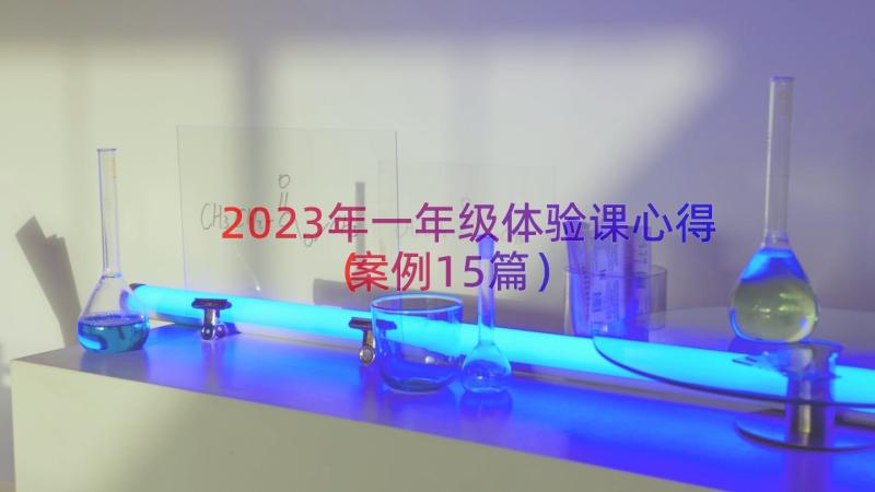 2023年一年级体验课心得（案例15篇）