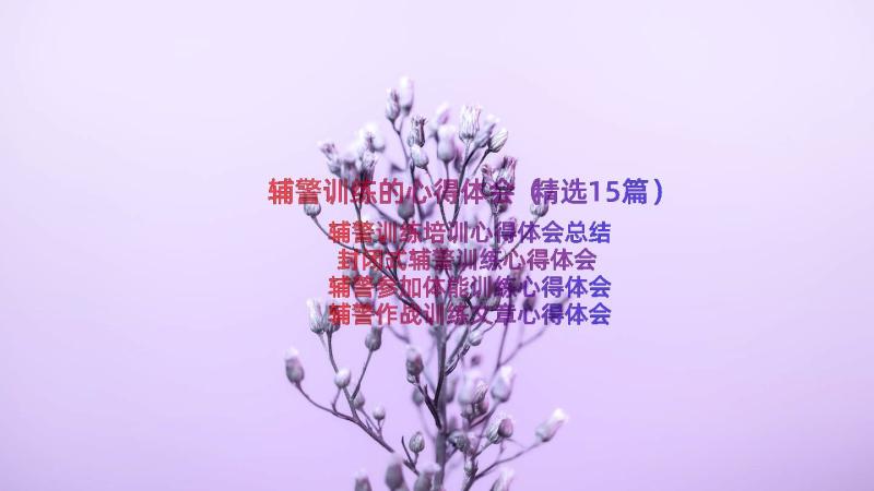 辅警训练的心得体会（精选15篇）