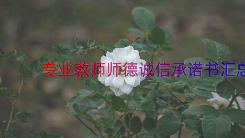 专业教师师德诚信承诺书（汇总15篇）