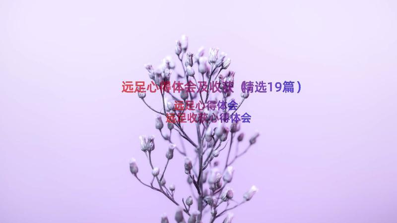 远足心得体会及收获（精选19篇）