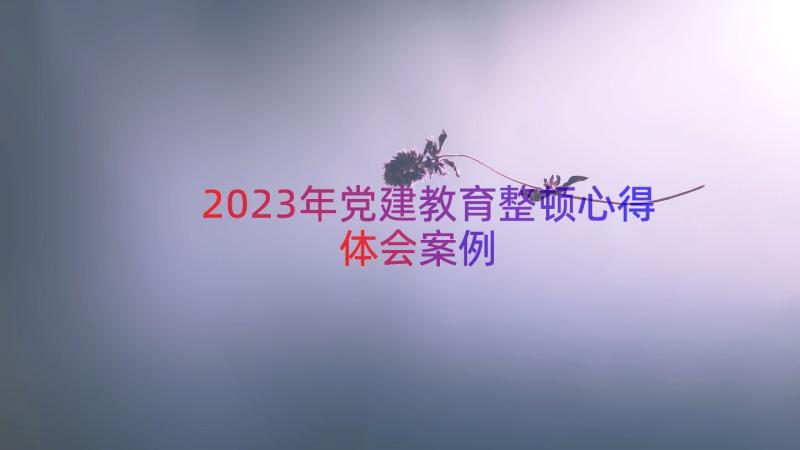 2023年党建教育整顿心得体会（案例16篇）