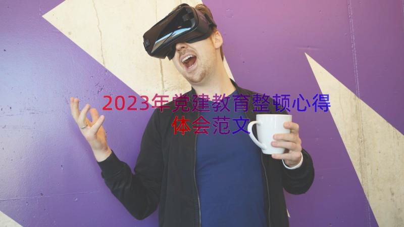 2023年党建教育整顿心得体会范文（13篇）