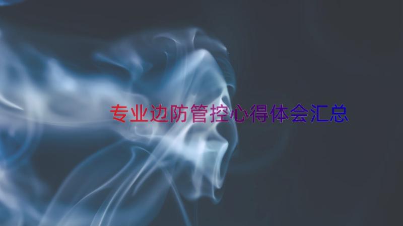 专业边防管控心得体会（汇总19篇）