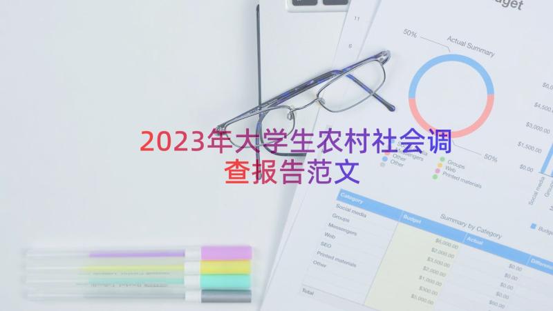 2023年大学生农村社会调查报告范文（13篇）