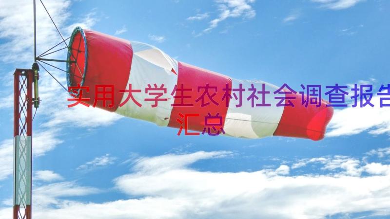 实用大学生农村社会调查报告（汇总22篇）