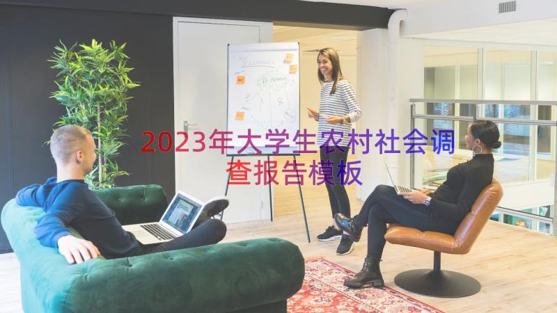 2023年大学生农村社会调查报告（模板15篇）