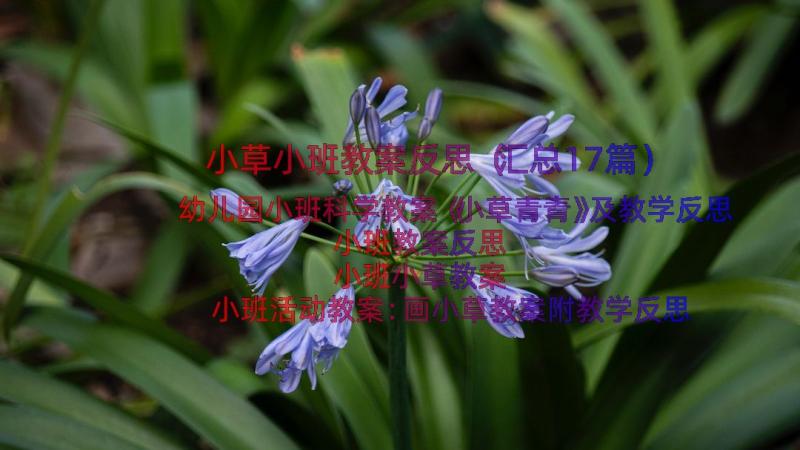 小草小班教案反思（汇总17篇）