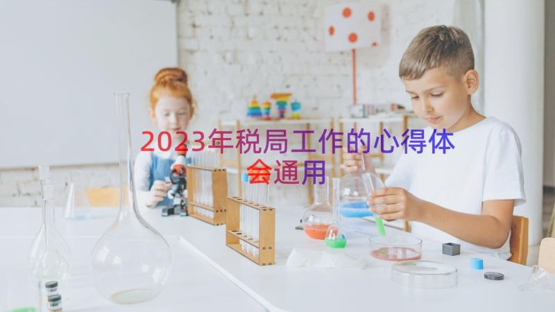 2023年税局工作的心得体会（通用13篇）