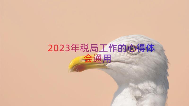 2023年税局工作的心得体会（通用15篇）