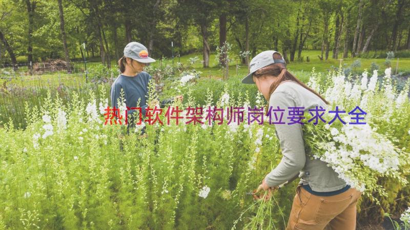 热门软件架构师岗位要求大全（15篇）