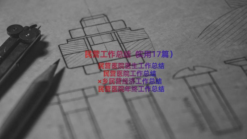 民营工作总结（实用17篇）