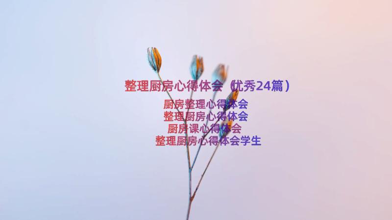 整理厨房心得体会（优秀24篇）