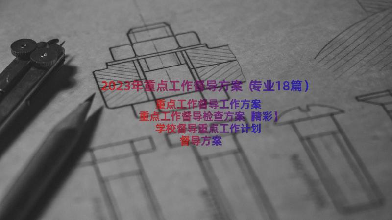 2023年重点工作督导方案（专业18篇）