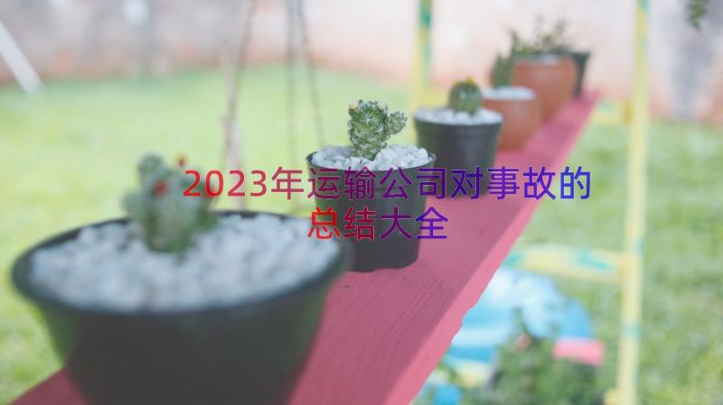 2023年运输公司对事故的总结大全（19篇）