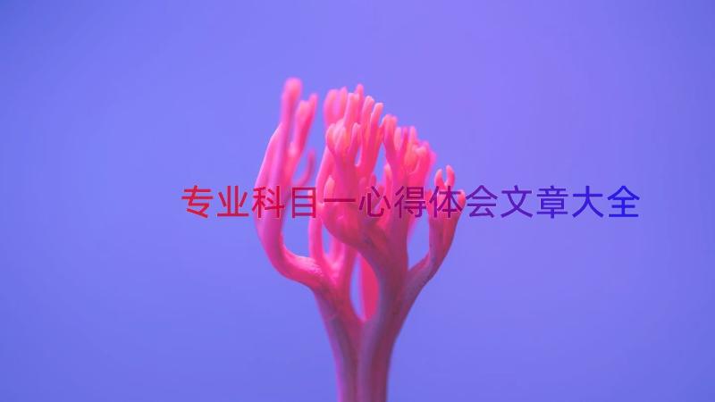 专业科目一心得体会文章大全（19篇）