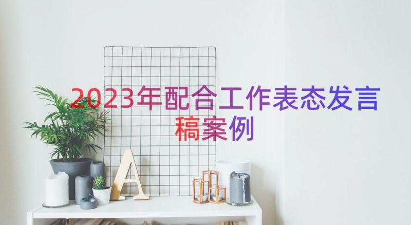 2023年配合工作表态发言稿（案例19篇）