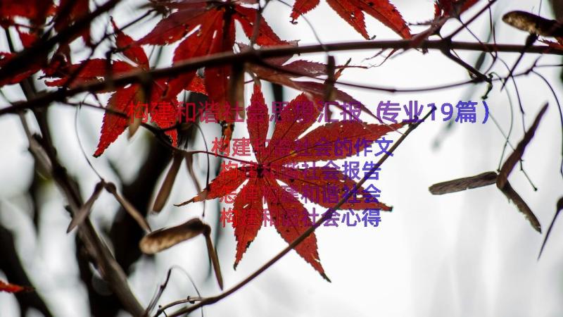 构建和谐社会思想汇报（专业19篇）