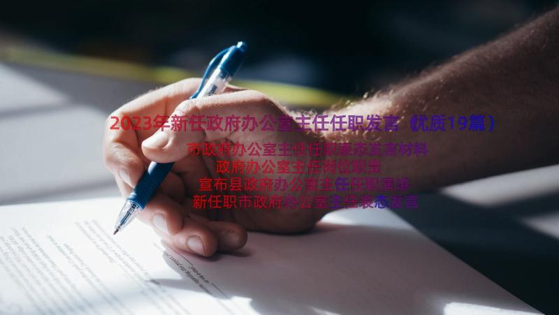 2023年新任政府办公室主任任职发言（优质19篇）