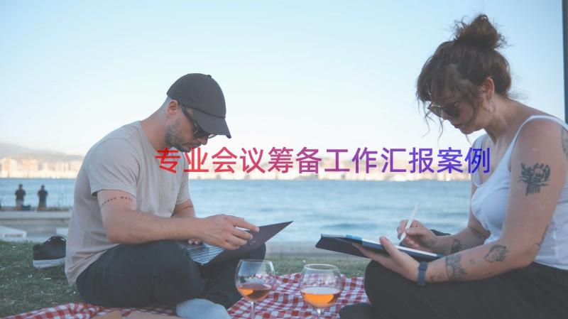 专业会议筹备工作汇报（案例13篇）