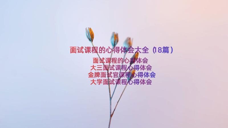 面试课程的心得体会大全（18篇）