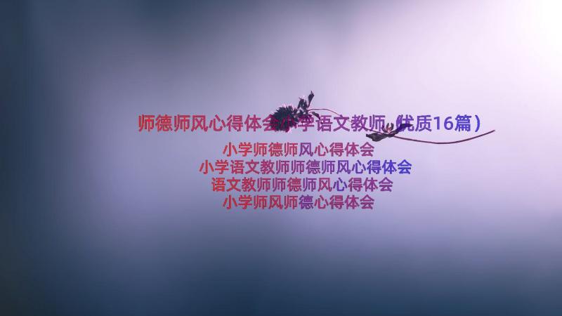 师德师风心得体会小学语文教师（优质16篇）