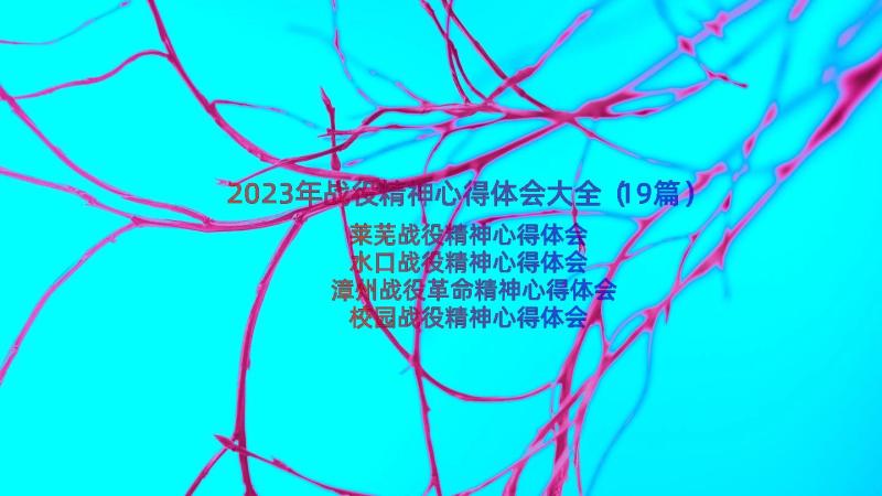 2023年战役精神心得体会大全（19篇）