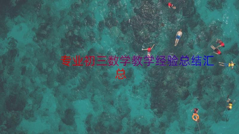 专业初三数学教学经验总结（汇总18篇）