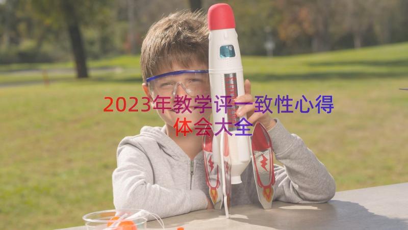 2023年教学评一致性心得体会大全（12篇）