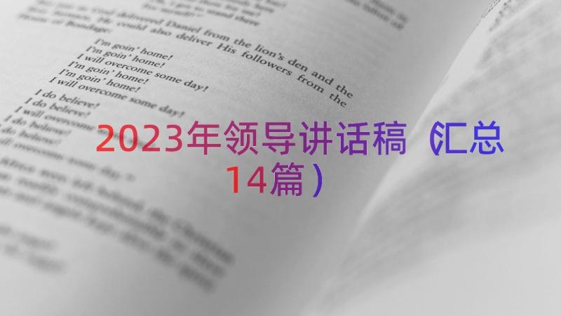 2023年领导讲话稿（汇总14篇）