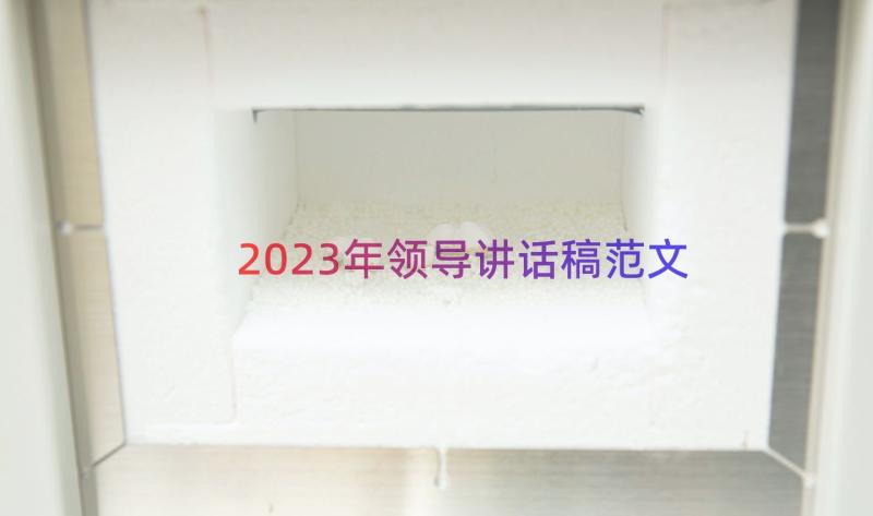 2023年领导讲话稿范文（17篇）