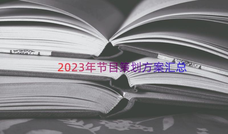 2023年节目策划方案（汇总15篇）