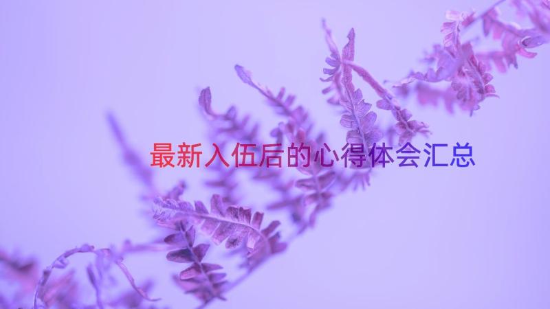 最新入伍后的心得体会（汇总13篇）