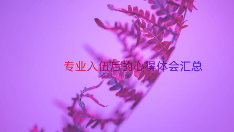 专业入伍后的心得体会（汇总18篇）