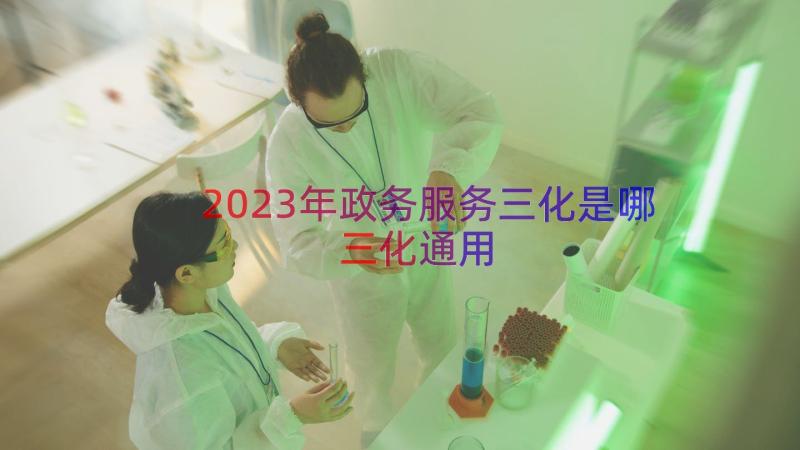 2023年政务服务三化是哪三化（通用13篇）