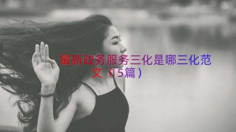 最新政务服务三化是哪三化范文（15篇）