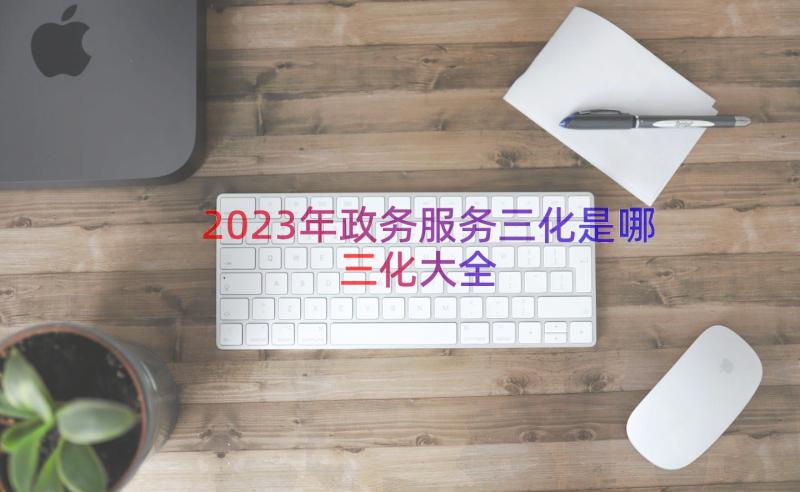 2023年政务服务三化是哪三化大全（16篇）