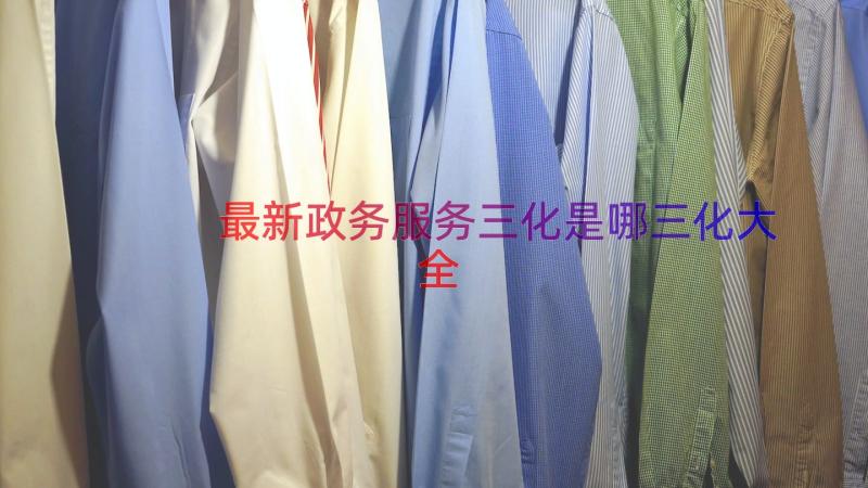 最新政务服务三化是哪三化大全（16篇）