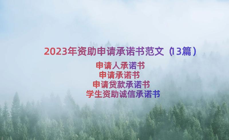 2023年资助申请承诺书范文（13篇）