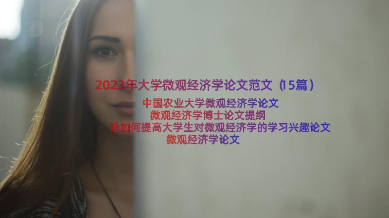 2023年大学微观经济学论文范文（15篇）