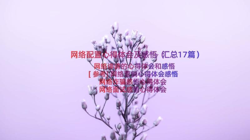 网络配置心得体会及感悟（汇总17篇）