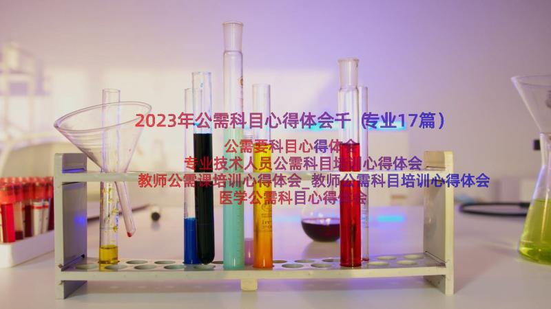 2023年公需科目心得体会千（专业17篇）