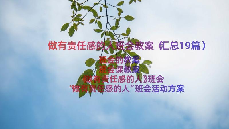 做有责任感的人班会教案（汇总19篇）