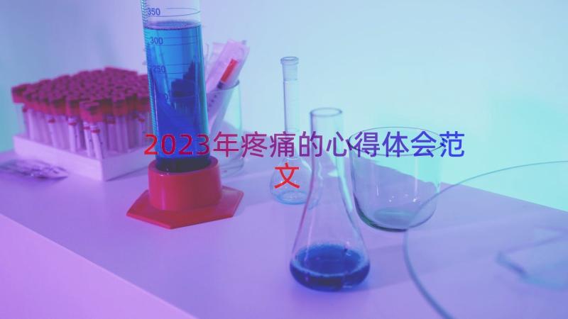 2023年疼痛的心得体会范文（16篇）