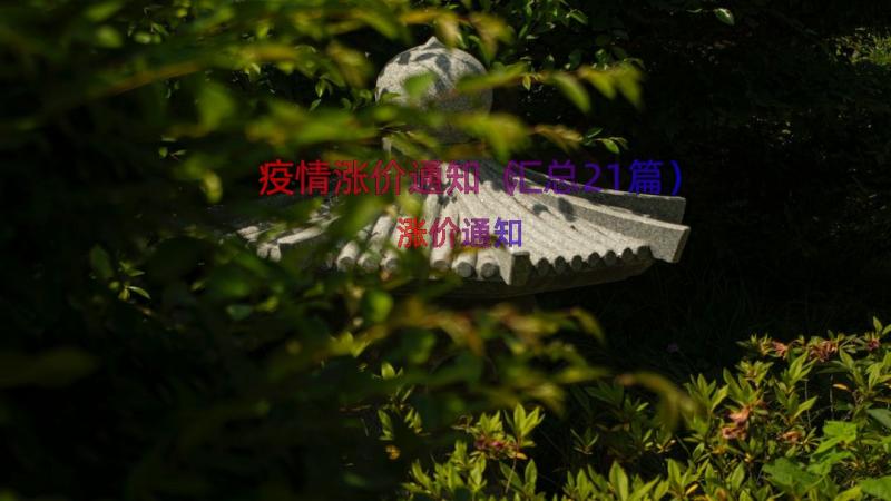 疫情涨价通知（汇总21篇）