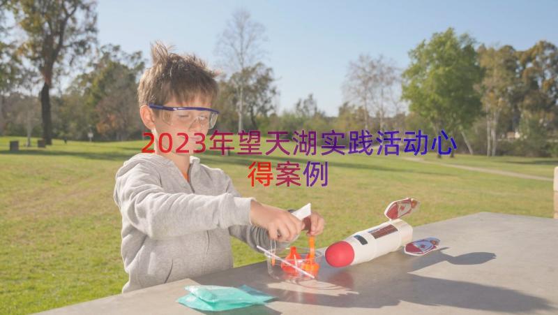 2023年望天湖实践活动心得（案例17篇）