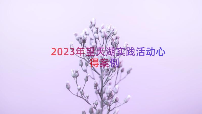 2023年望天湖实践活动心得（案例13篇）