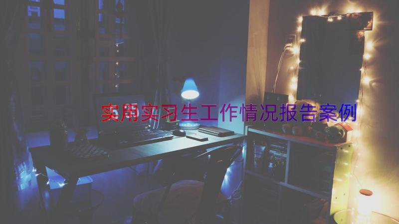 实用实习生工作情况报告（案例14篇）