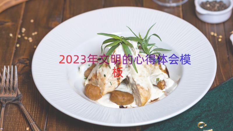 2023年文明的心得体会（模板14篇）