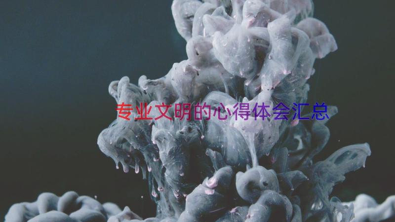 专业文明的心得体会（汇总14篇）